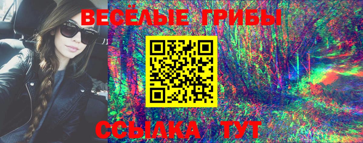Псилоцибиновые грибы Cubensis  Галлюциногенные грибы GOLDEN TEACHER  Долгопрудный  Вход с VPN 