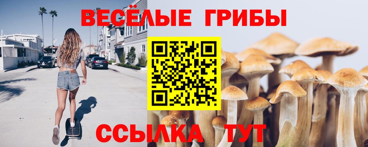 Псилоцибиновые грибы MAGIC MUSHROOMS Долгопрудный